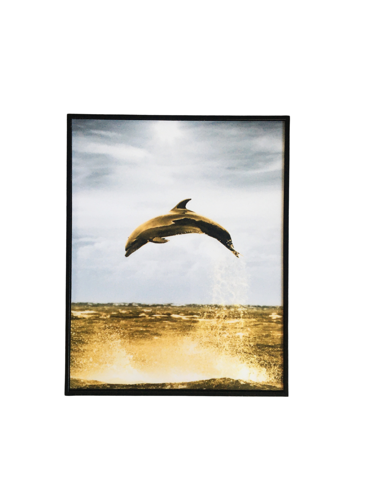 Cuadro Decorativo 20 x 25